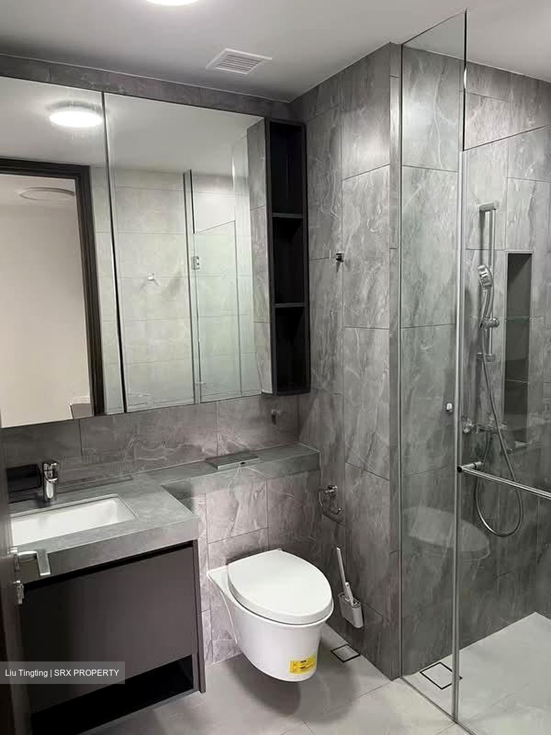 Parc Clematis (D5), Apartment #587756341